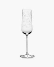 Marni Set van 4 Champagne Flutes