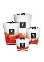 Feathers Masaai Geurkaars