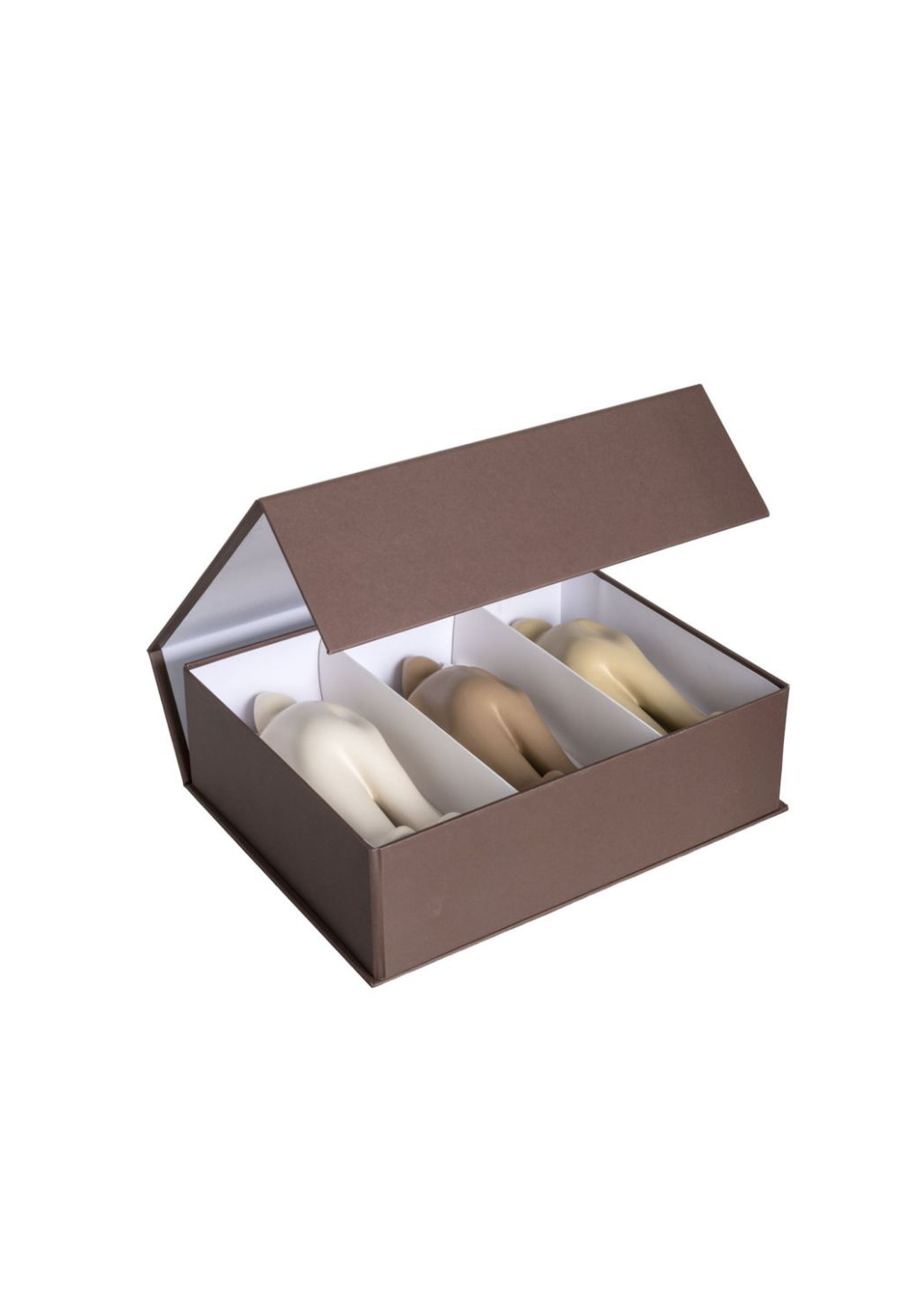 The Visitor | Gift Box - Set van drie Mini's